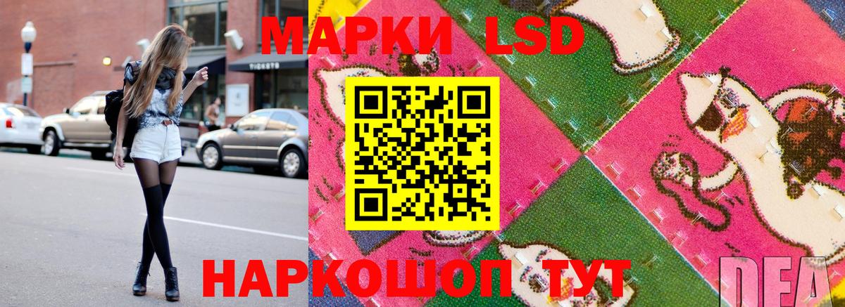 Марки NBOMe 1500мкг  Вход с VPN  Сланцы  сколько стоит  Марки NBOMe 1500мкг 