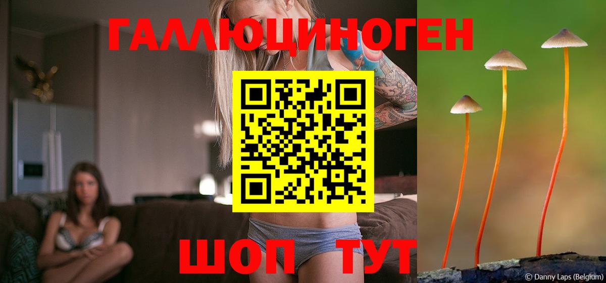 Псилоцибиновые грибы GOLDEN TEACHER  Вход с VPN  Сланцы 